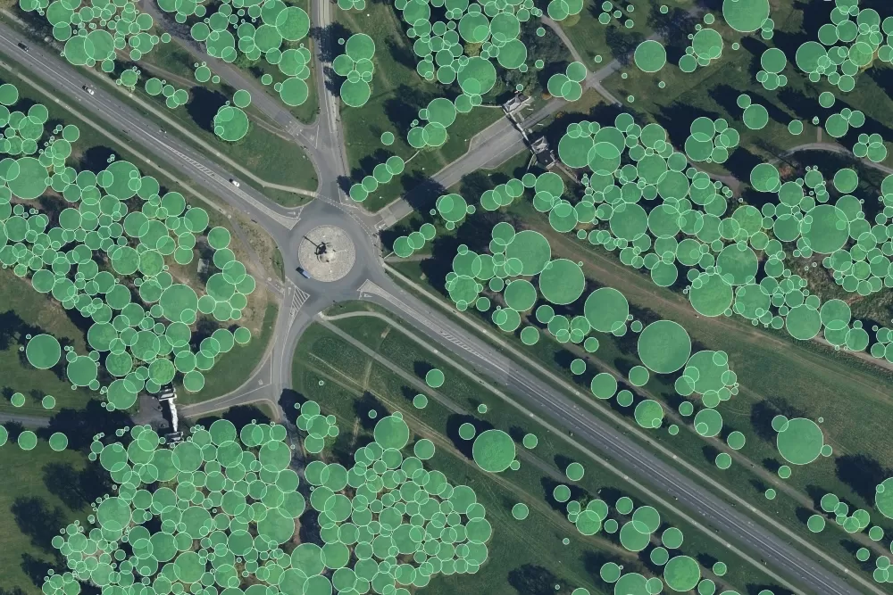 Aerial Photograph with NTM data overlaid showing tree crowns