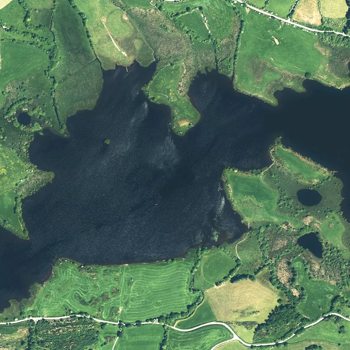 Coillte AP square